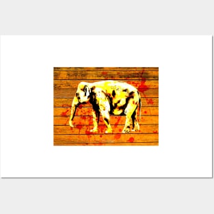 Elephant in Gold Posters and Art